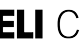 DanieliCorus