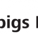 Topigs Norsvin Word templates